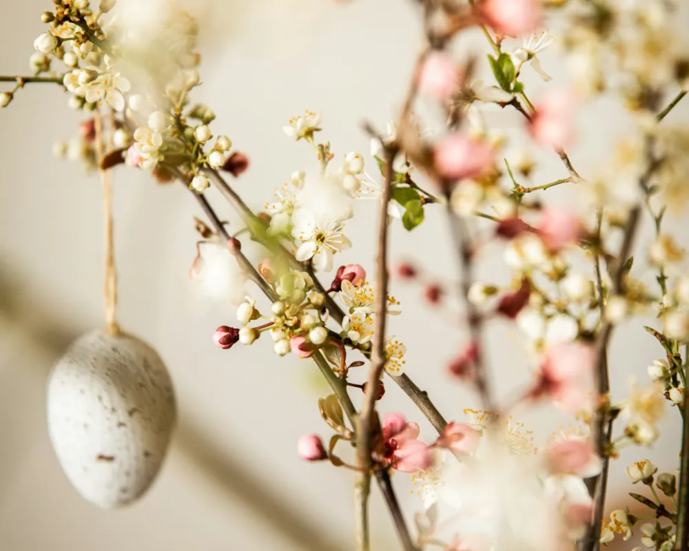 Unsplas Ostern quer Referenz in Infos