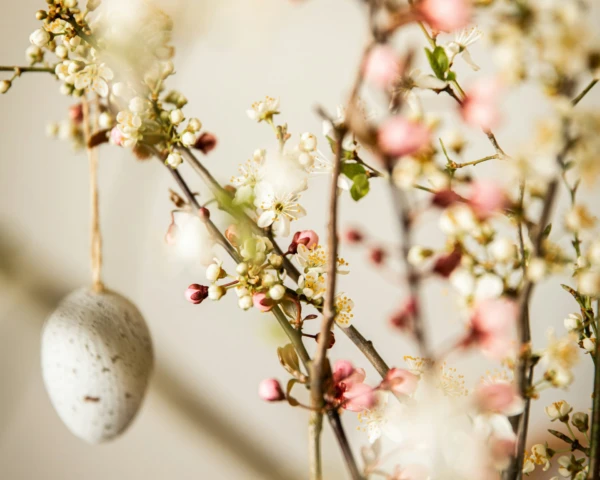 Unsplas Ostern quer Referenz in Infos